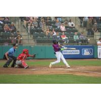 Tri-City Dust Devils at bat