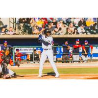 Charleston RiverDogs at bat