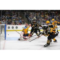 Wheeling Nailers battle the Toledo Walleye