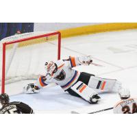 Lehigh Valley Phantoms' Cal Petersen in action