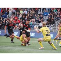 Utah Warriors' Lopeti Aisea versus Houston Sabercats' Drew Wild