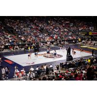 A big crowd watches the Columbus Fury at Nationwide Arena