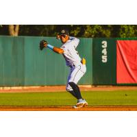 Charleston RiverDogs shortstop Ricardo Gonzalez