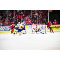 Saskatoon Blades battle the Moose Jaw Warriors