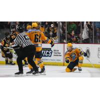 Toledo Walleye celebrate a score against the Wheeling Nailers