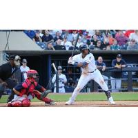 Toledo Mud Hens at the plate