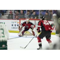 Vancouver Giants goaltender Brett Mirwald