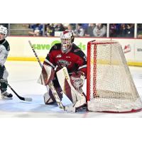 Vancouver Giants goaltender Brett Mirwald