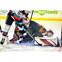 Vancouver Giants goaltender Brett Mirwald