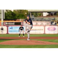 Somerset Patriots' Trystan Vrieling in action