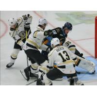 Wheeling Nailers battle the Toledo Walleye