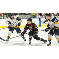 Adirondack Thunder's Ryan Smithbattles Norfolk Admirals' Simon Kubicek and Stepan Timofeyev