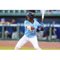 Columbia Fireflies' Derlin Figueroa at bat