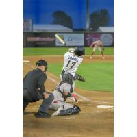 Tri-City Dust Devils' Ben Gobbel at bat