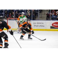 Reid Andresen with the Medicine Hat Tigers