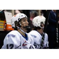 Forward Grant Reid with the Victoria Royals