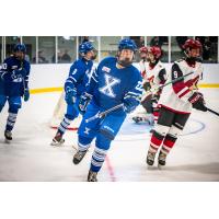 Forward Blake Chorney with the Northern Alberta Xtreme U15 Prep