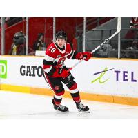 Defenseman Samuel Mayer with the Ottawa 67's