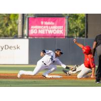 Tampa Tarpons and the Clearwater Threshers in action