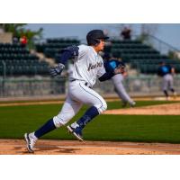 Tri-City Dust Devils in action