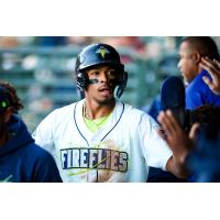 Columbia Fireflies' Austin Charles on game night