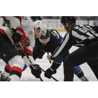 Belleville Senators battle the Clevland Monsters