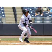 Tampa Tarpons at the plate