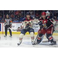 Milwaukee Admirals' Roland McKeown and Grand Rapids Griffins' Jan Bednar