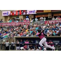 Pensacola Blue Wahoos at bat