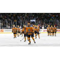 Toledo Walleye acknowledge the fans