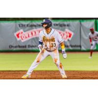 Charleston RiverDogs first baseman Wooyeoul Shin