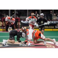 Mike Byrne of the Albany FireWolves (left) vs. Chase Fraser of the Buffalo Bandits