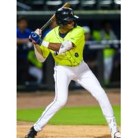 Columbia Fireflies' Austin Charles at bat