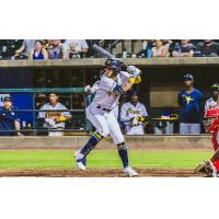 Charleston RiverDogs at bat