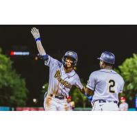 Charleston  RiverDogs in action