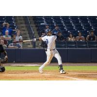 Tampa Tarpons' Roderick Arias at bat