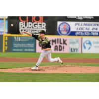 Somerset Patriots pitcher Trystan Vrieling