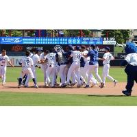 Tulsa Drillers celebrate after Alex Freeland drove in the winning run on Sunday afternoon