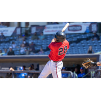 Mississippi Braves catcher Drake Baldwin