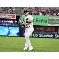 New York Yankees outfielder Jasson Dominguez