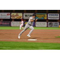 Somerset Patriots' Jordan Groshans in action