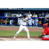 Biloxi Shuckers' Carlos Rodriguez at bat