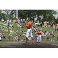 Joliet Slammers pitcher Zac Westcott