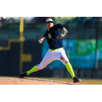 Columbia Fireflies' Logan Martin in action