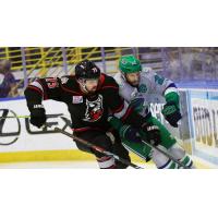 Adirondack Thunder's Jackson van de Leest battles Florida Everblades' Joe Pendenza