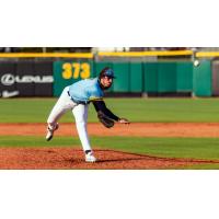 Montgomery Biscuits' Austin Vernon in action