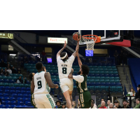 Winnipeg Sea Bears' Darius Days and Teddy Allen in action