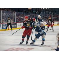 Grand Rapids Griffins battle the Milwaukee Admirals