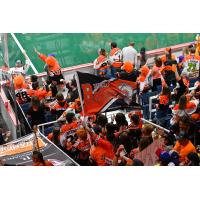 Buffalo Bandits fans cheer on their team