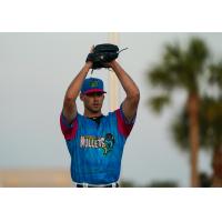 Pensacola Blue Wahoos on the mound